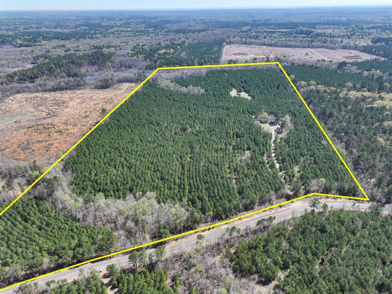 81.5 Acres, T-14, United Gas Road : Rodessa : Caddo Parish : Louisiana