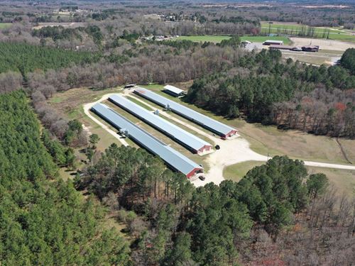 New Price, Providence Breeder Farm : Pageland : Chesterfield County : South Carolina