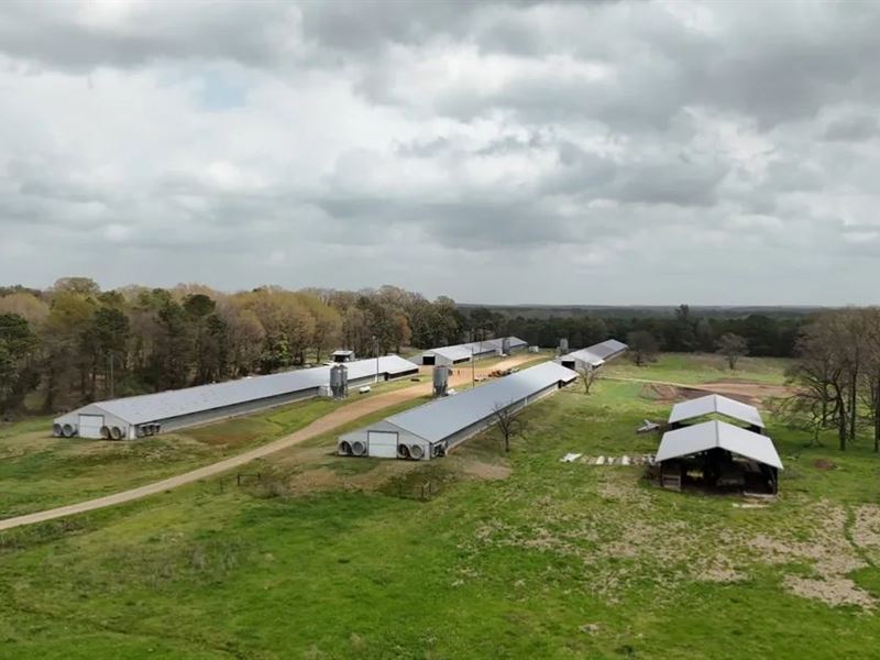 Louisiana 4 House Poultry Farm Wit : Marion : Union Parish : Louisiana