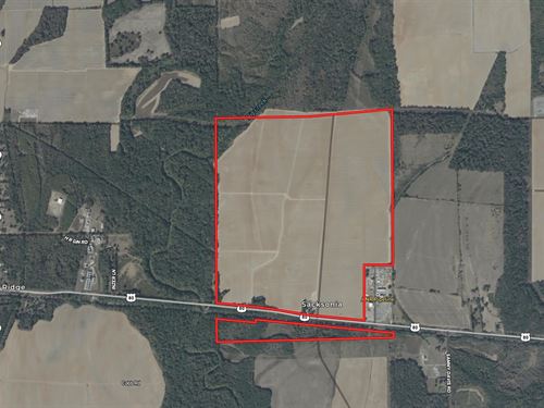 La, Richland 468.37 Acres : Holly Ridge : Richland Parish : Louisiana