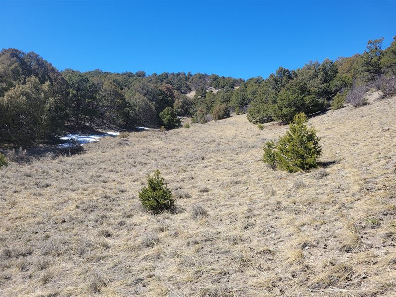 41.17 Acres in Salida, Colorado : Salida : Chaffee County : Colorado