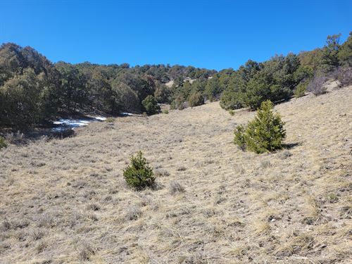 41.17 Acres in Salida, Colorado : Salida : Chaffee County : Colorado