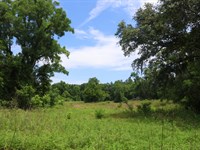 Walden Farm : Monticello : Jefferson County : Florida