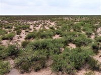 35 Acres in Pecos County, TX : Imperial : Pecos County : Texas