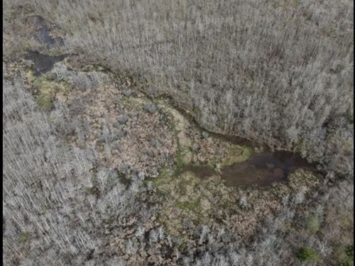 95.6 Acres in Newton County in Newt : Newton : Mississippi