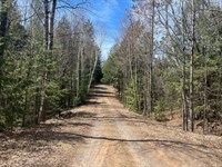 Wooded Parcel Near Squirrel Lake : Minocqua : Oneida County : Wisconsin