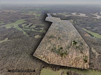 263+/- Acres of Prime Land : Cadiz : Trigg County : Kentucky