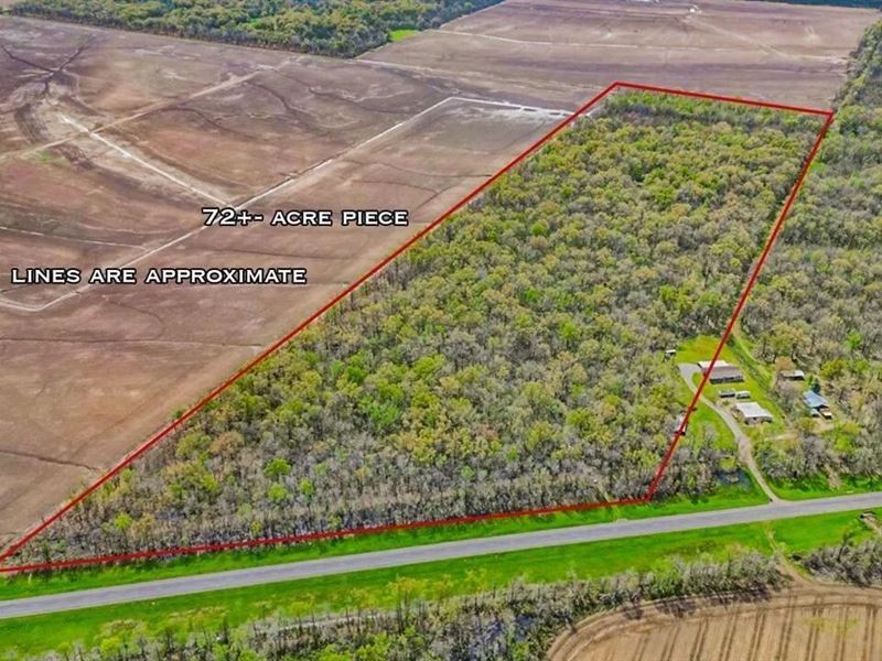 Great Duck/Deer Combo in Concordia : Clayton : Concordia Parish : Louisiana