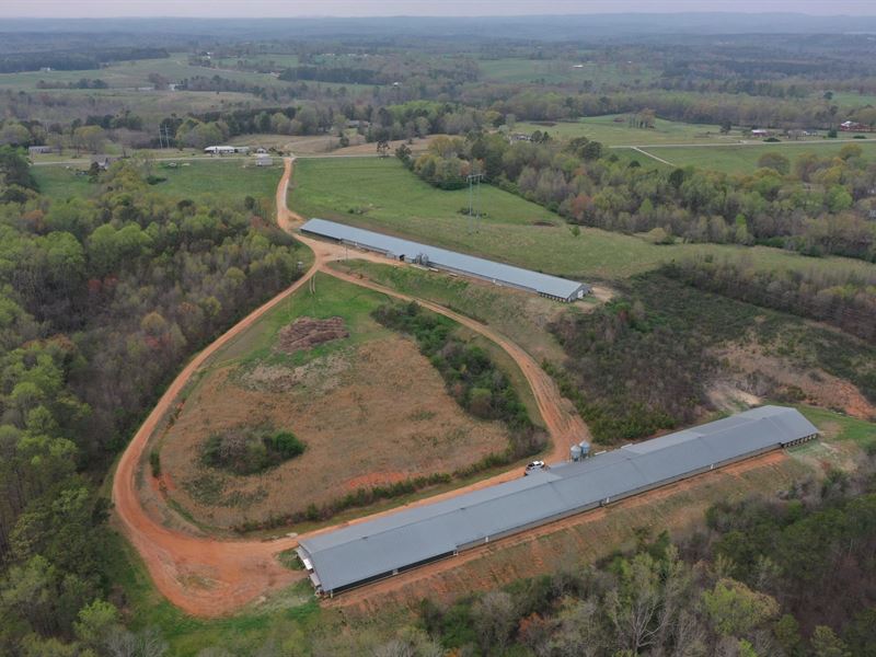 Meadow Hill Mega Broiler Farm : Woodland : Randolph County : Alabama