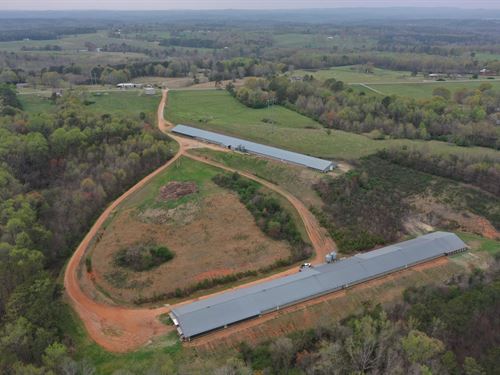 Meadow Hill Mega Broiler Farm : Woodland : Randolph County : Alabama