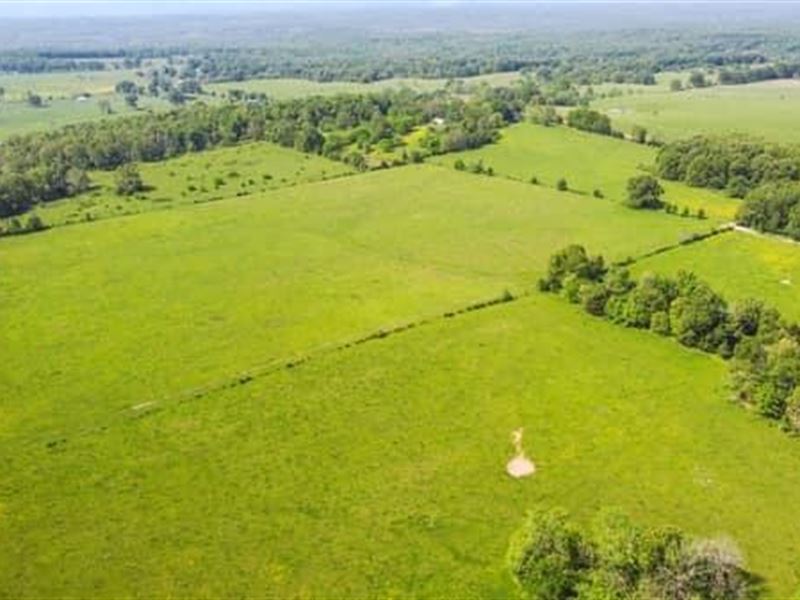 112 Acres of Pasture Land for Sale : Koshkonong : Oregon County : Missouri