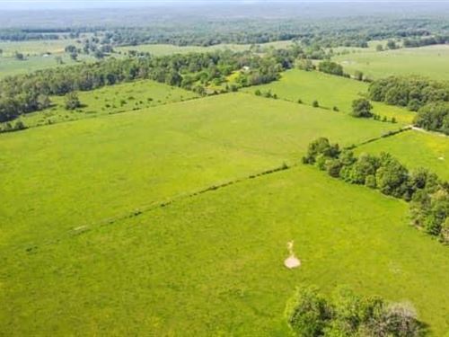 112 Acres of Pasture Land for Sale : Koshkonong : Oregon County : Missouri