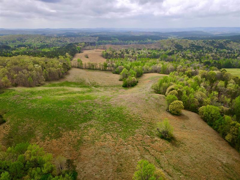 75 Acres with Pasture, Pond : Ashland : Clay County : Alabama