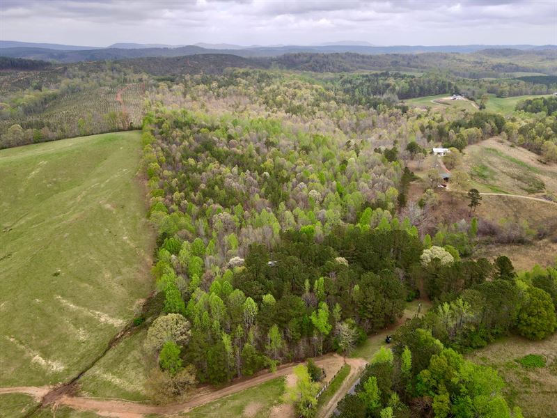 22 Acres with Utilities, Homesi : Ashland : Clay County : Alabama