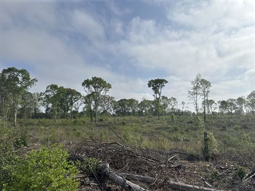 County Road 37 Tract, 102 Acres : Repton : Monroe County : Alabama