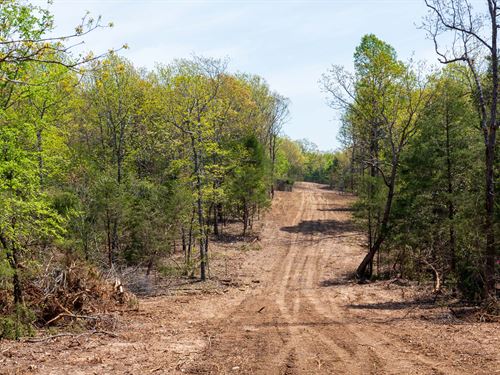 Invest, $999 Down, No Credit Check : Cherokee Village : Fulton County : Arkansas