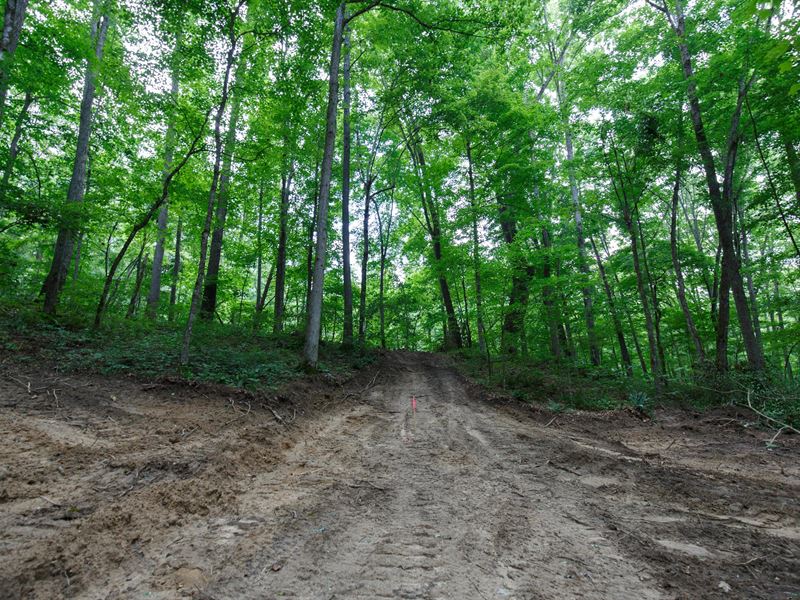 $999 Down Land/No Credit Check : Pueblo : Wayne County : Kentucky