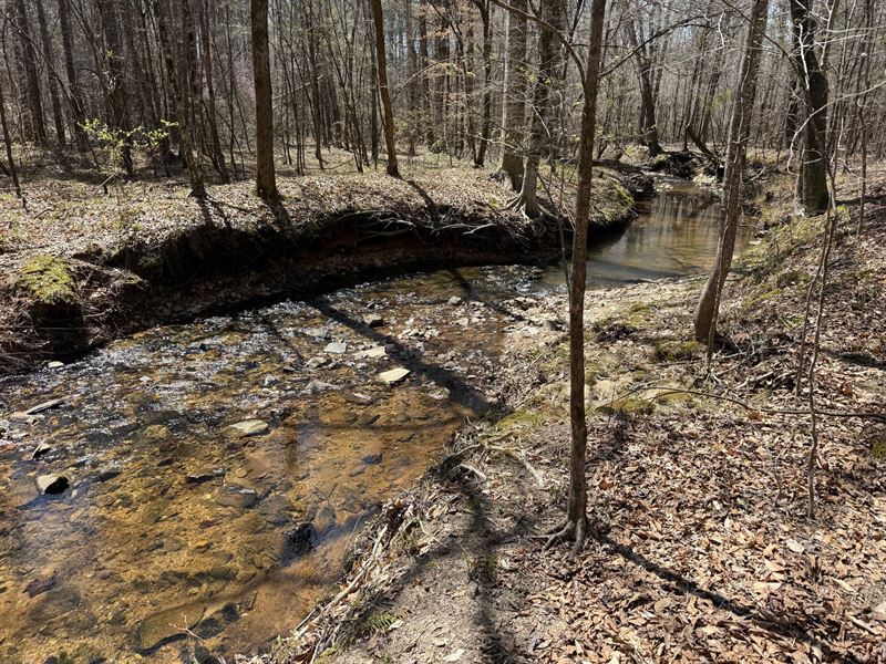 150 Ac Sweetwater Rd Tract : Daviston : Tallapoosa County : Alabama