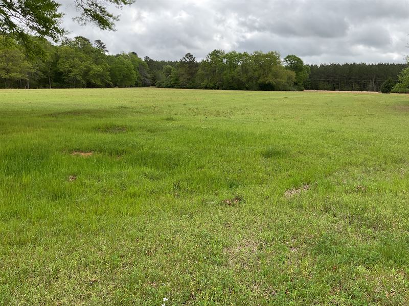 E 10th Street Property : Luverne : Crenshaw County : Alabama