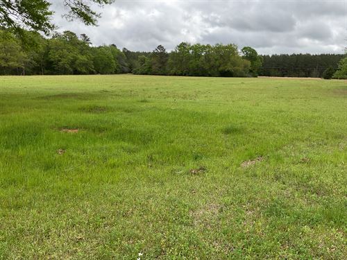 E 10th Street Property : Luverne : Crenshaw County : Alabama