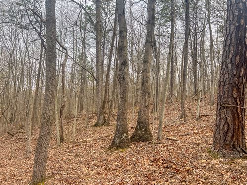 Ponetown Rd Lot 1, 8.7 Acres : Ray : Vinton County : Ohio