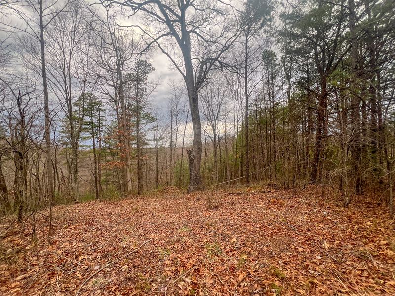 Ponetown Rd Lot 2 8 : Ray : Vinton County : Ohio