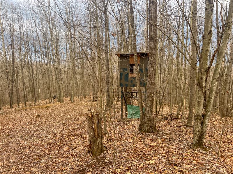 Ponetown Rd Lot 4, 12.7 Acres : Ray : Vinton County : Ohio