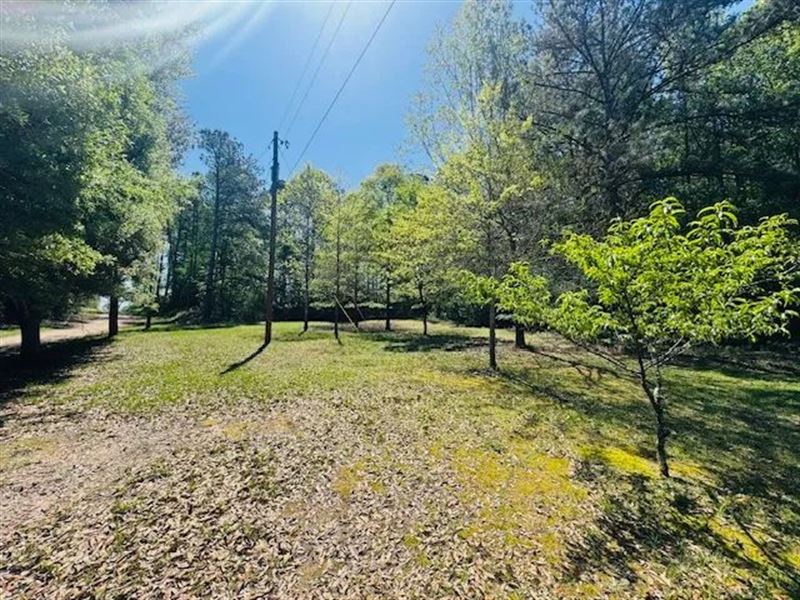 5.65 Acres on Phifer Lane, Frankli : Franklinton : Washington Parish : Louisiana