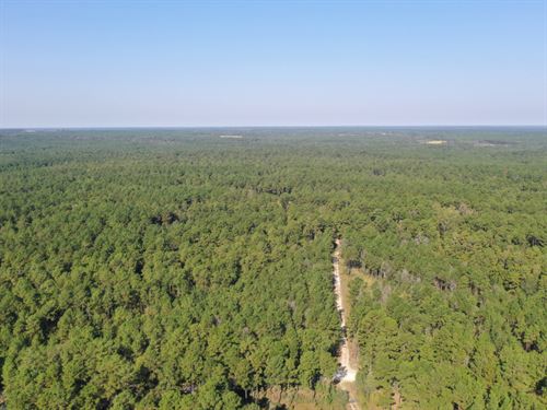 Trinity Lady Park 3 : Trinity : Texas