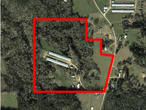 2 House Breeder Farm on 39 Acres : Mendenhall : Simpson County : Mississippi