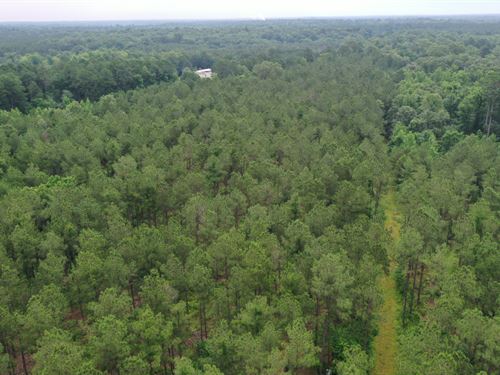 Strickland Acres 1 : Waskom : Harrison County : Texas