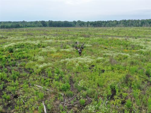 Strickland Acres 4 : Waskom : Harrison County : Texas