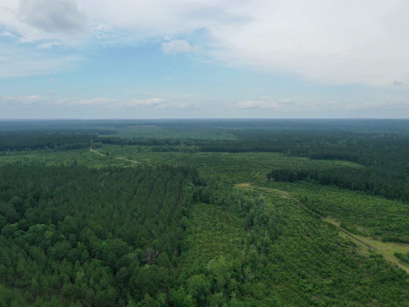 Buck Bay Tract : Pineland : San Augustine County : Texas