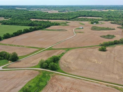 Remarkable Farm : Russellville : Logan County : Kentucky