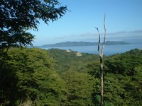 Magnificent and Beautiful Property : Bajo Negro Paquera : Costa Rica