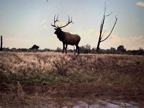 Majestic Elk Ranch : Hesperus : La Plata County : Colorado
