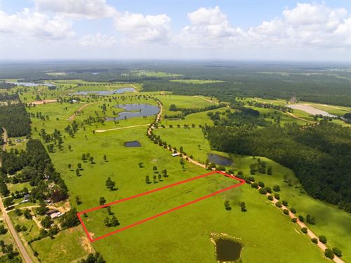 5 Acres, Lakeland Road : Hillister : Tyler County : Texas