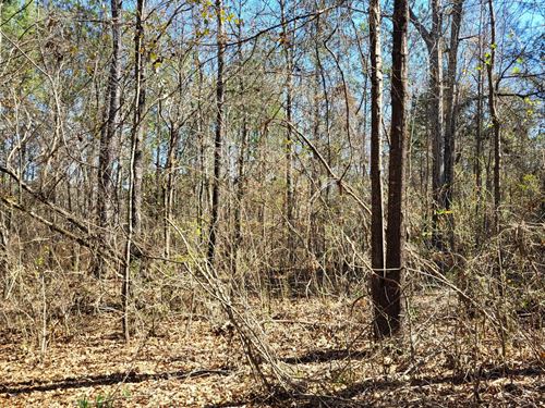 Talladega County Mini Farm 7.8 Acre : Talladega : Alabama