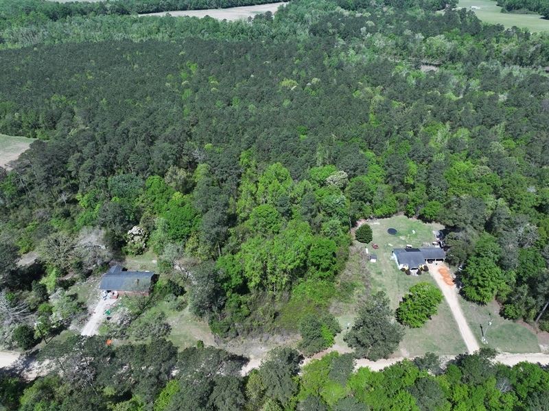 Timber and Hunting Land for Sale : Fairmont : Robeson County : North Carolina