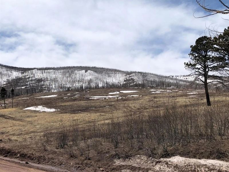 1812-15 Forbes Park Road, Ft Garla : Fort Garland : Costilla County : Colorado