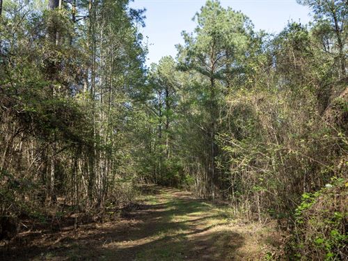 Longstraw 65 Tract 1 Jackson Pari : Choudrant : Jackson Parish : Louisiana