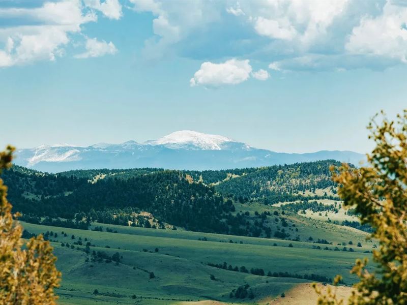 Aspen Creek Ranch : Guffey : Park County : Colorado