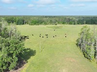 Rockridge Ranch : Polk City : Polk County : Florida