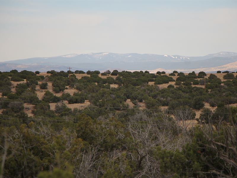 36.25 Acres, Power : Saint Johns : Apache County : Arizona