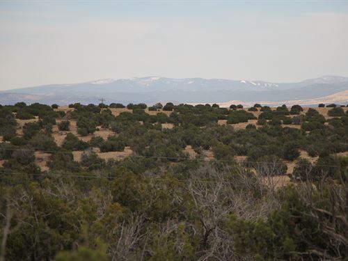 36.25 Acres, Power : Saint Johns : Apache County : Arizona