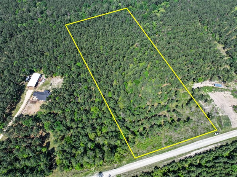 12.9 Acres, Guerrant Road : Huntsville : Walker County : Texas