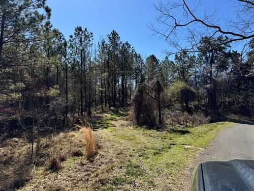 600 Acres Claiborne County Hunting : Hermanville : Claiborne County : Mississippi