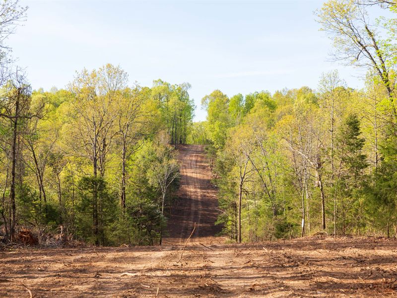 $999 Down, Fulton County Land : Ash Flat : Fulton County : Arkansas