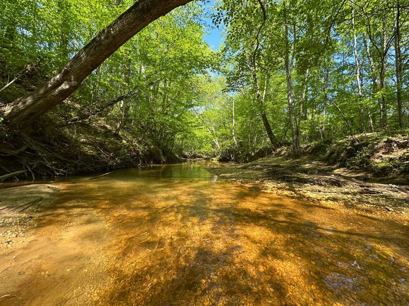 Sandy Creek Tract, 168 Acres Bibb : Centreville : Bibb County : Alabama