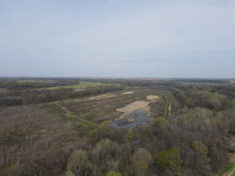 870 Acres in Sunflower County, MS : Indianola : Sunflower County : Mississippi